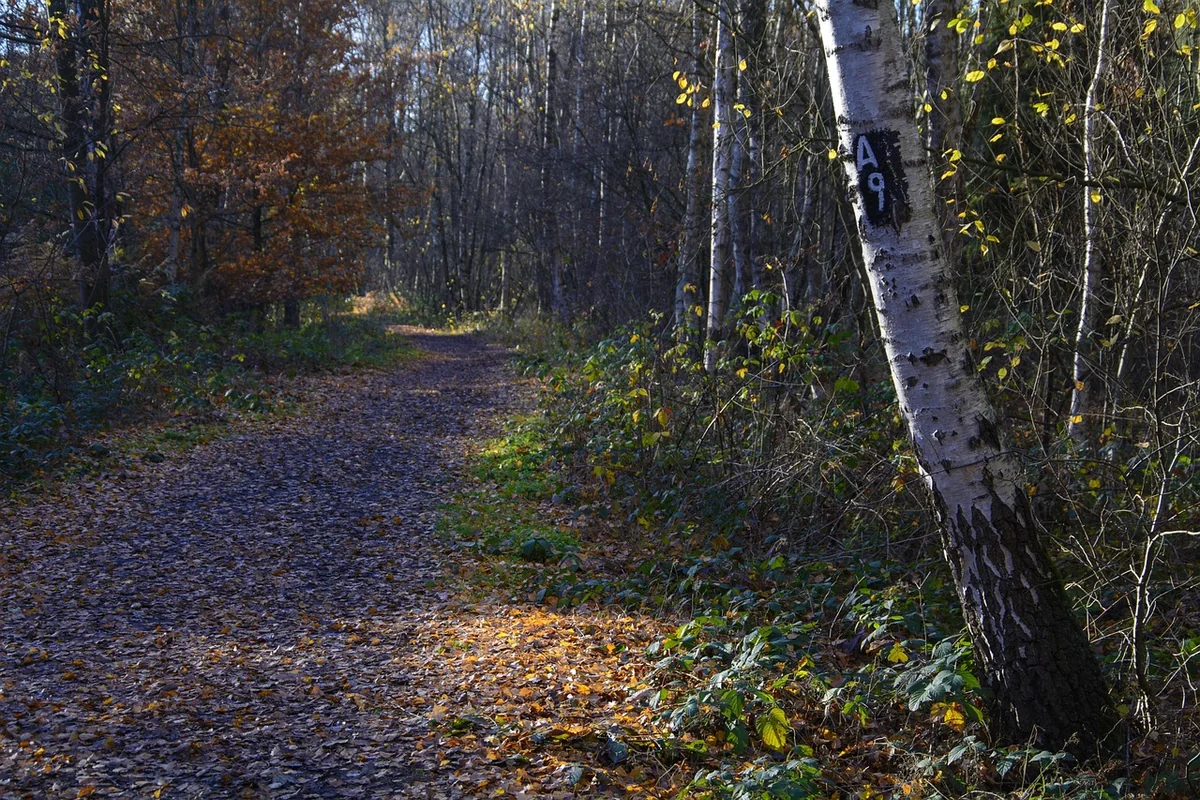 Votre premier réflexe absolu : la confidentialité maîtrisée
